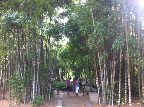 Barefoot Park. You start by taking your shoes off then meander through the bamboo forest.